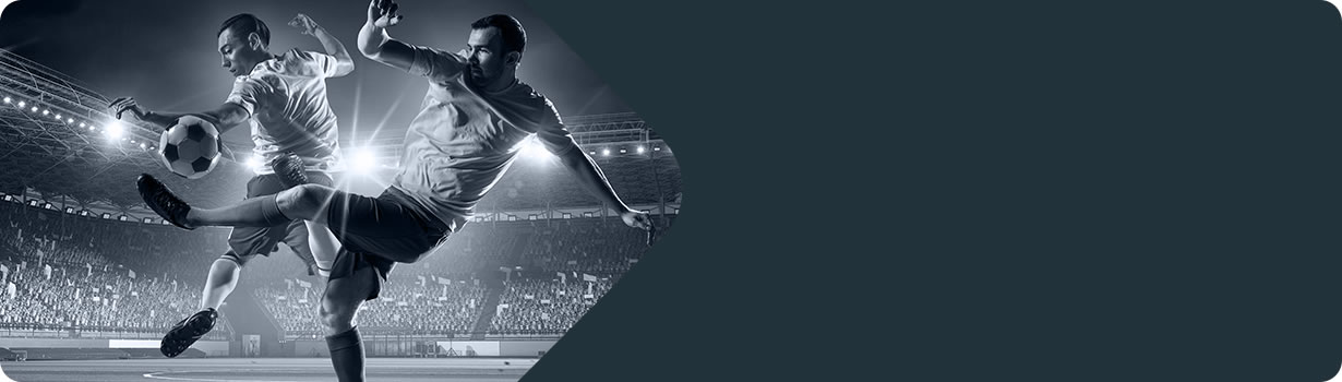 solve a sudoku puzzle
